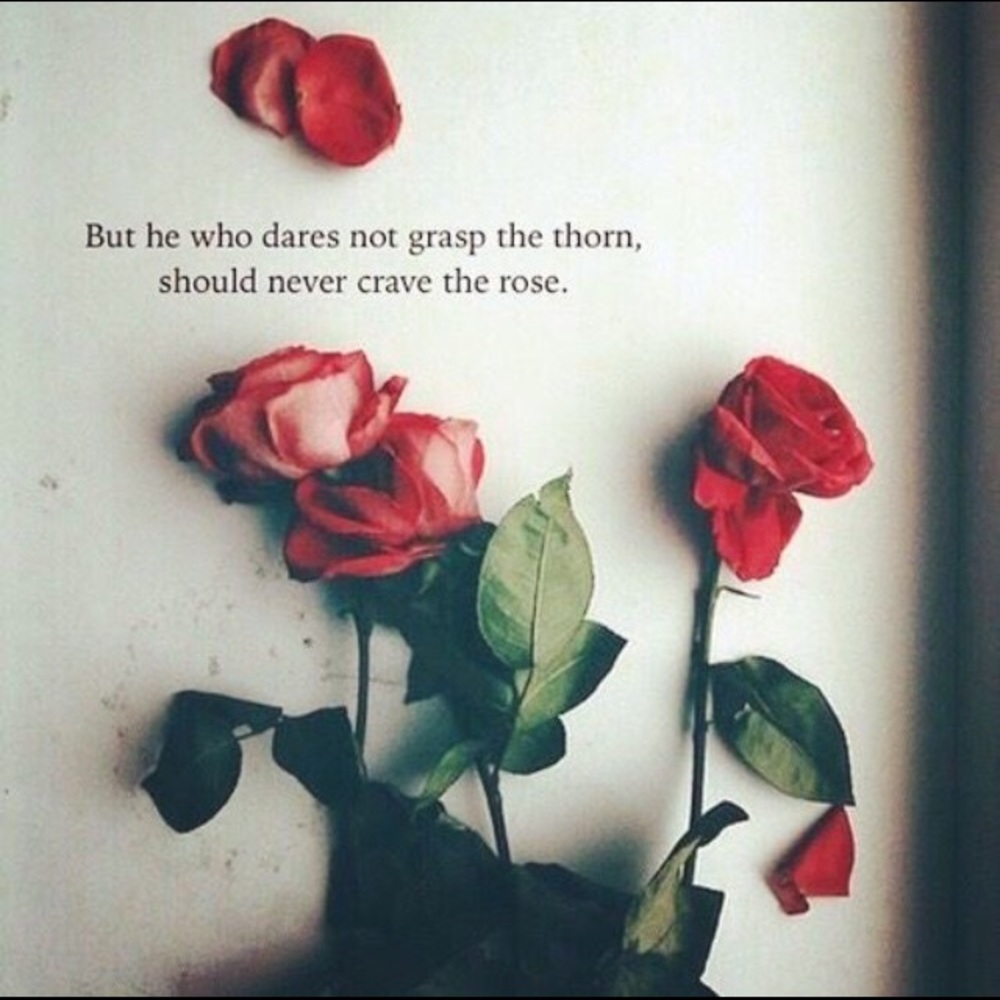 Meet your Posher, Sadie